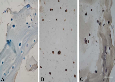 Fig. 5A–C