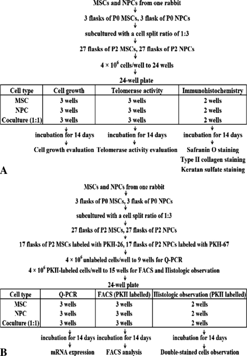 Fig. 1A–B