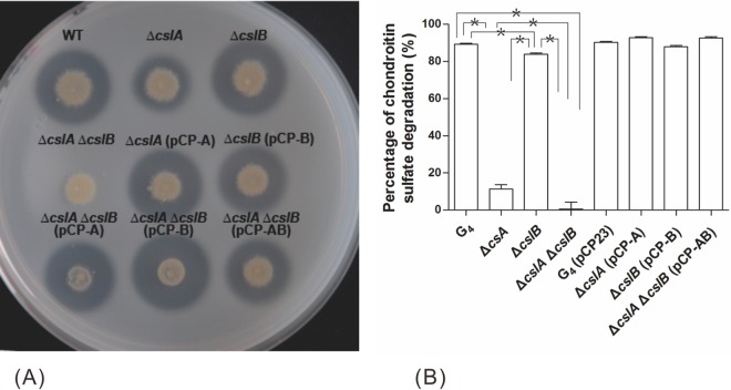 FIG 2