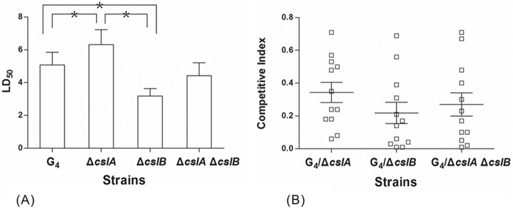 FIG 6