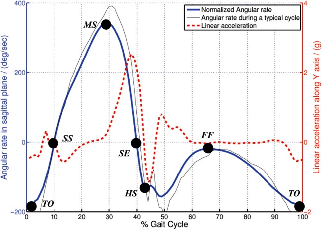 Figure 2