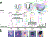 Fig. 3.