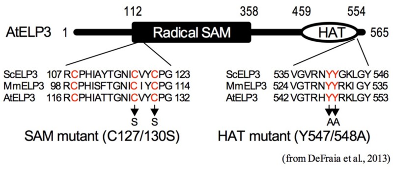 FIGURE 2