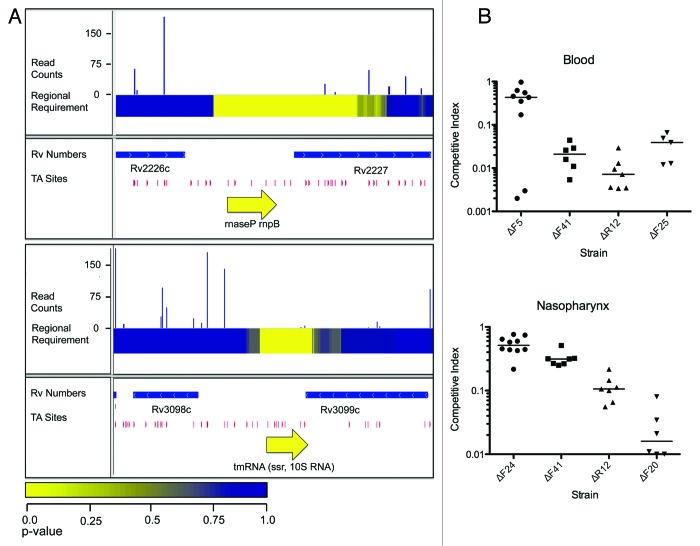 graphic file with name rna-10-1161-g2.jpg