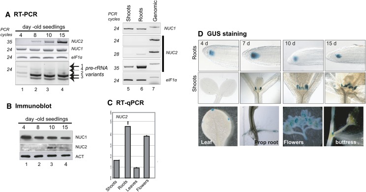 Figure 2.