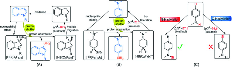 Scheme 5