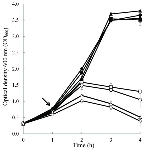 FIG. 4