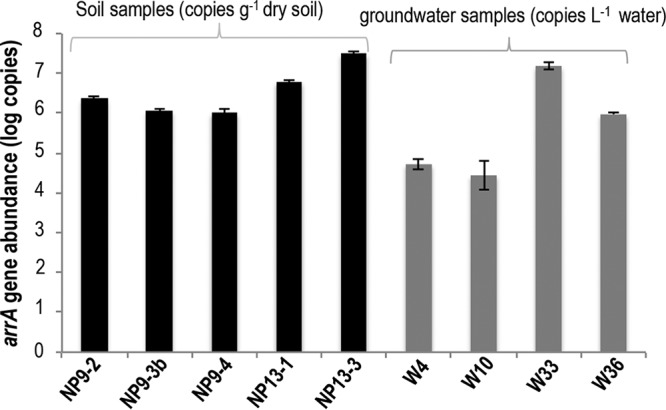 FIG 3