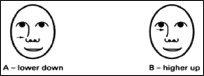 graphic file with name JFMPC-8-914-g001.jpg