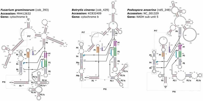 Figure 2.