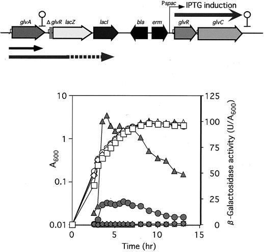 FIG. 6