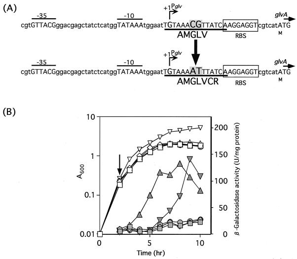 FIG. 8