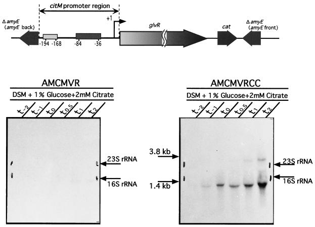 FIG. 9