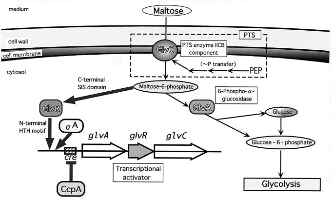 FIG. 10