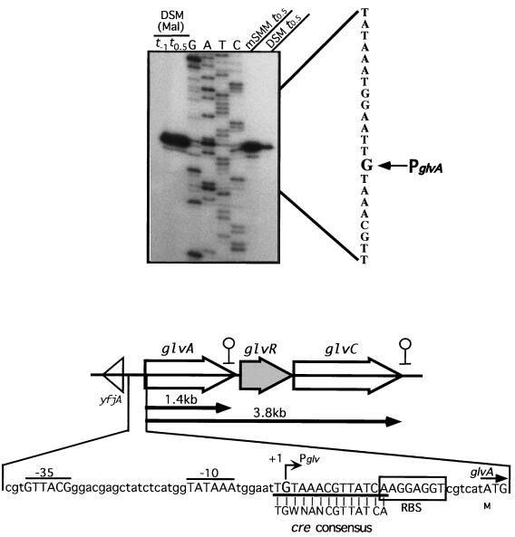 FIG. 4