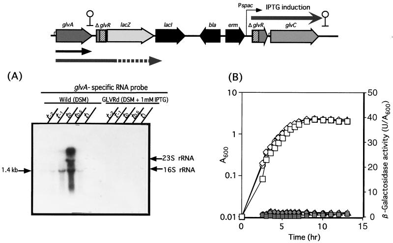 FIG. 5