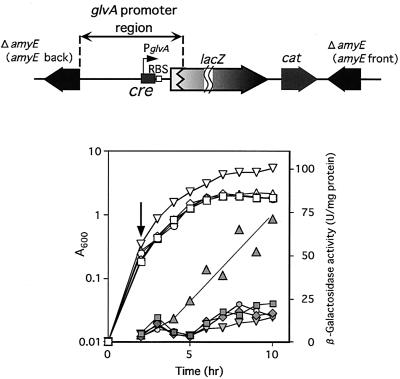 FIG. 7