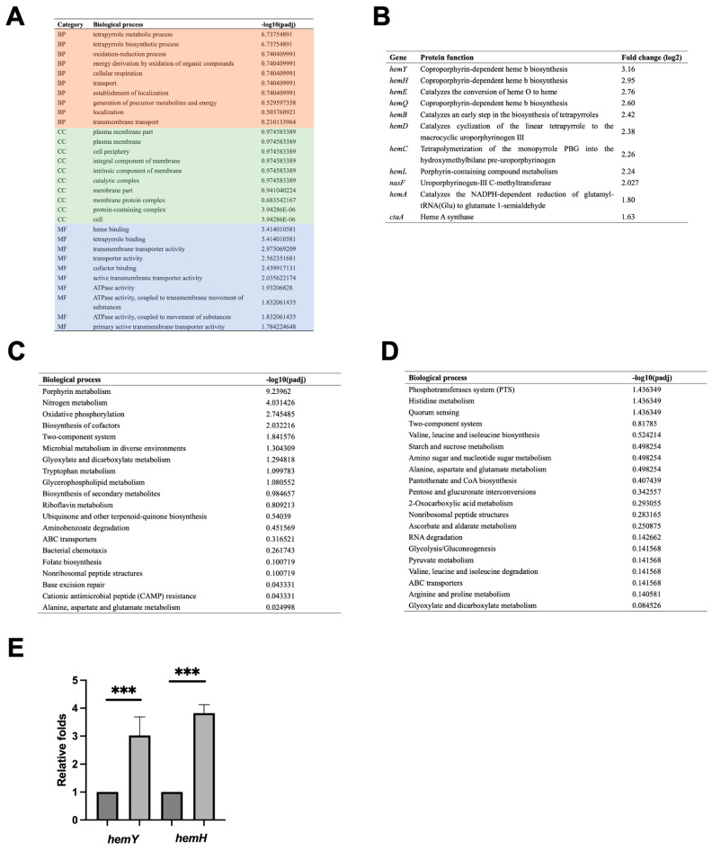 Phage SPO1 Protein Gp49 Is a Novel RNA Binding Protein That Is Involved ...