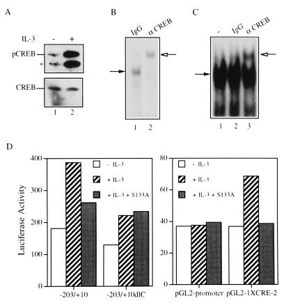 FIG. 10