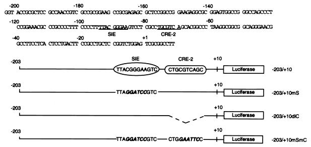 FIG. 6