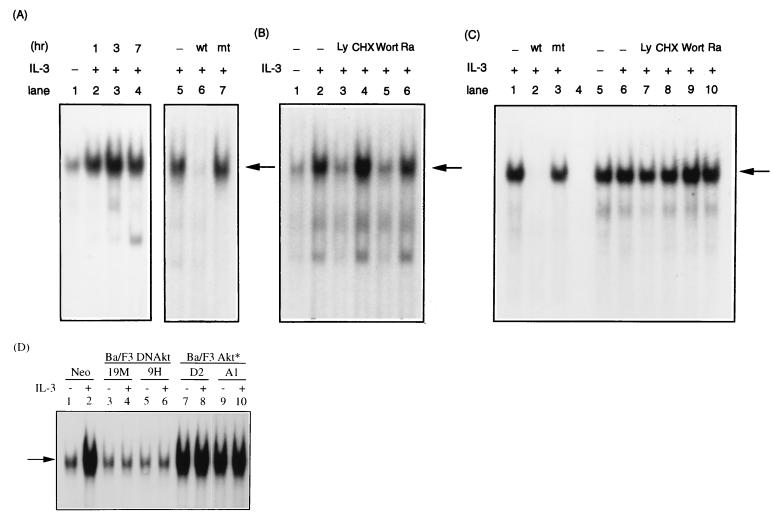 FIG. 9