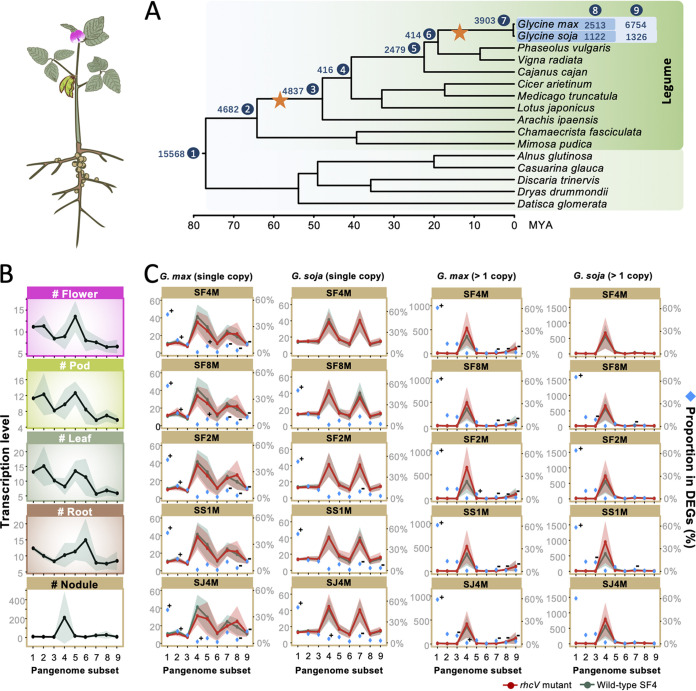 FIG 2