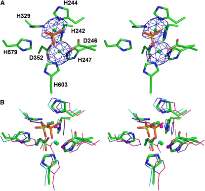 Figure 3