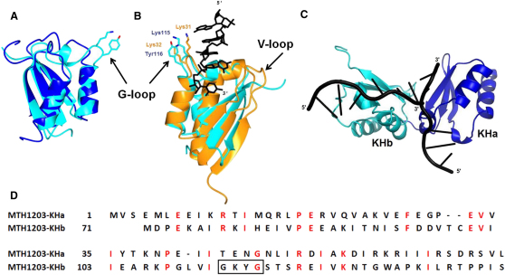 Figure 4