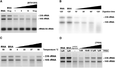 Figure 6