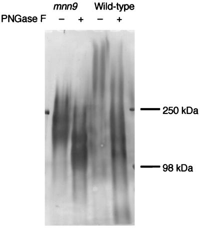 FIG. 6