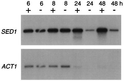 FIG. 9