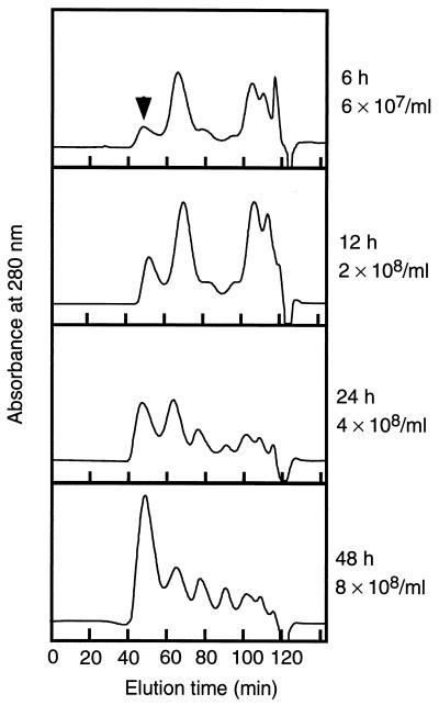 FIG. 8