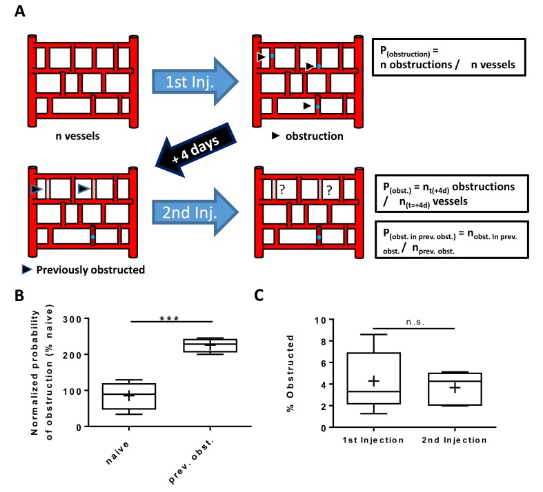 Figure 2—figure supplement 5.