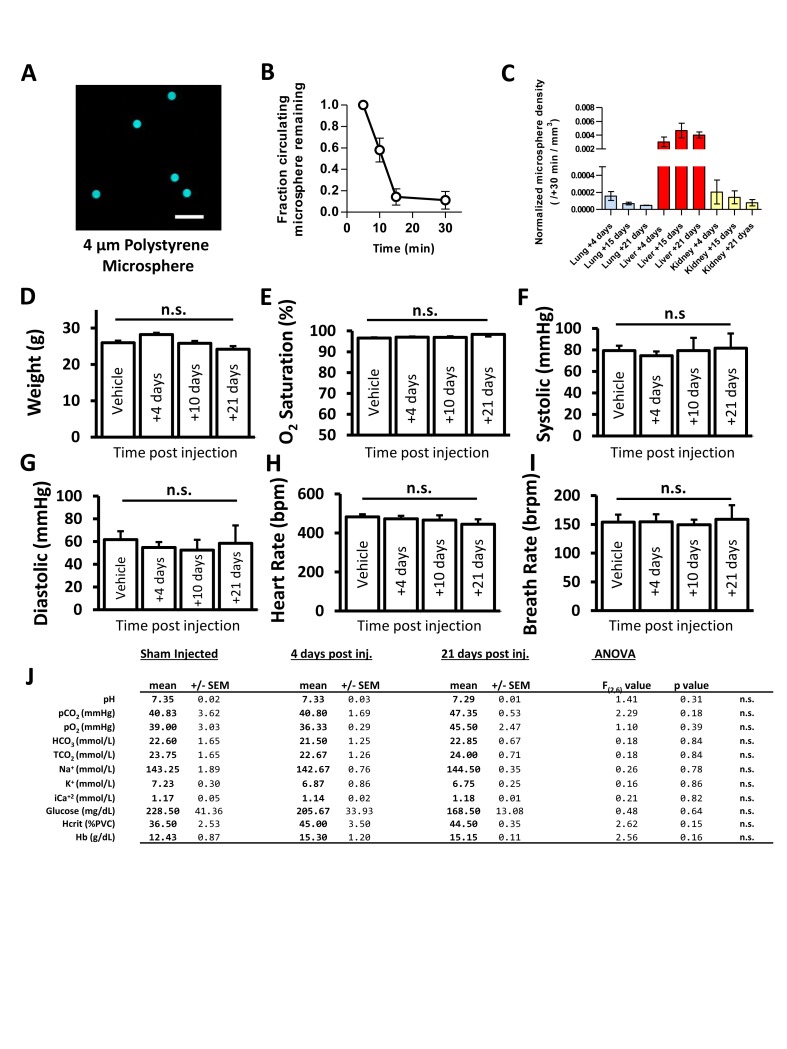 Figure 1—figure supplement 2.