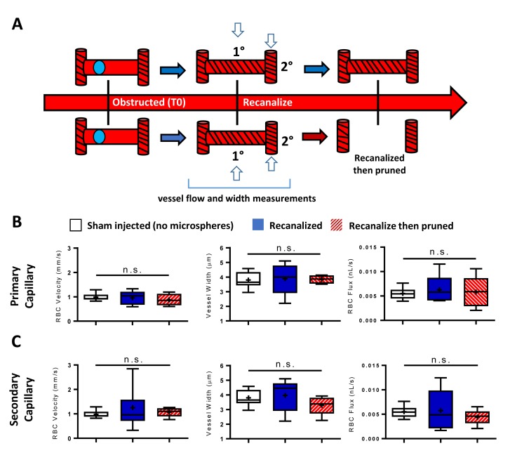 Figure 2—figure supplement 4.