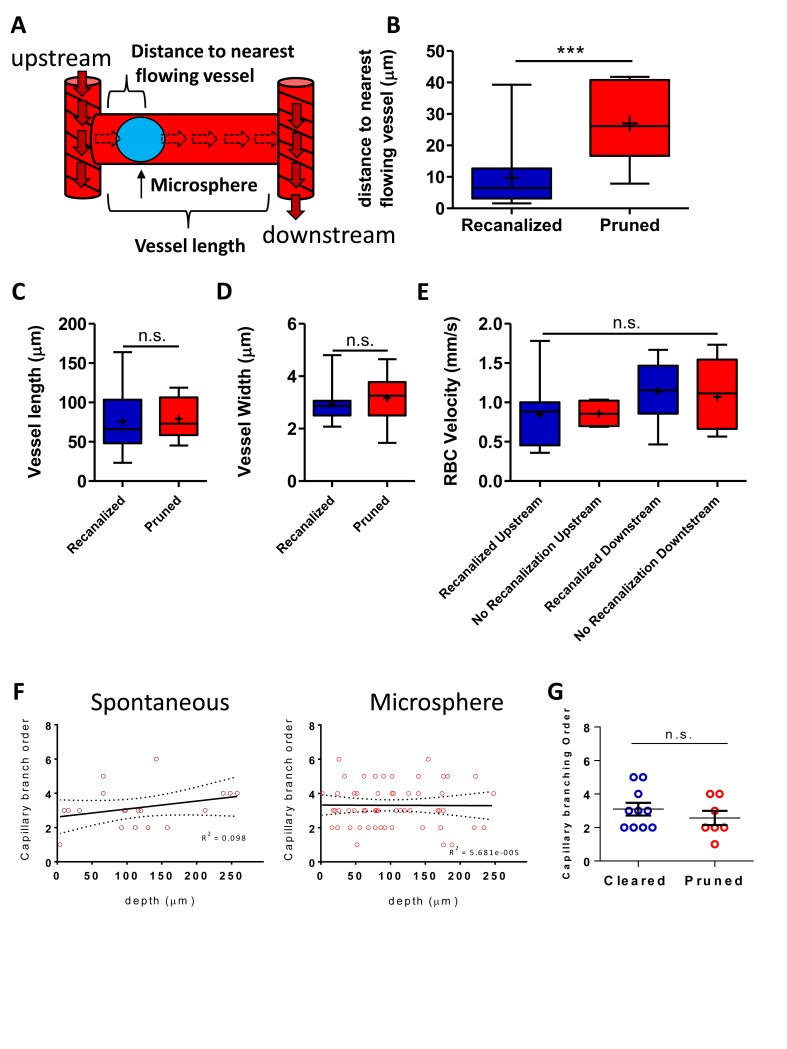 Figure 2—figure supplement 3.