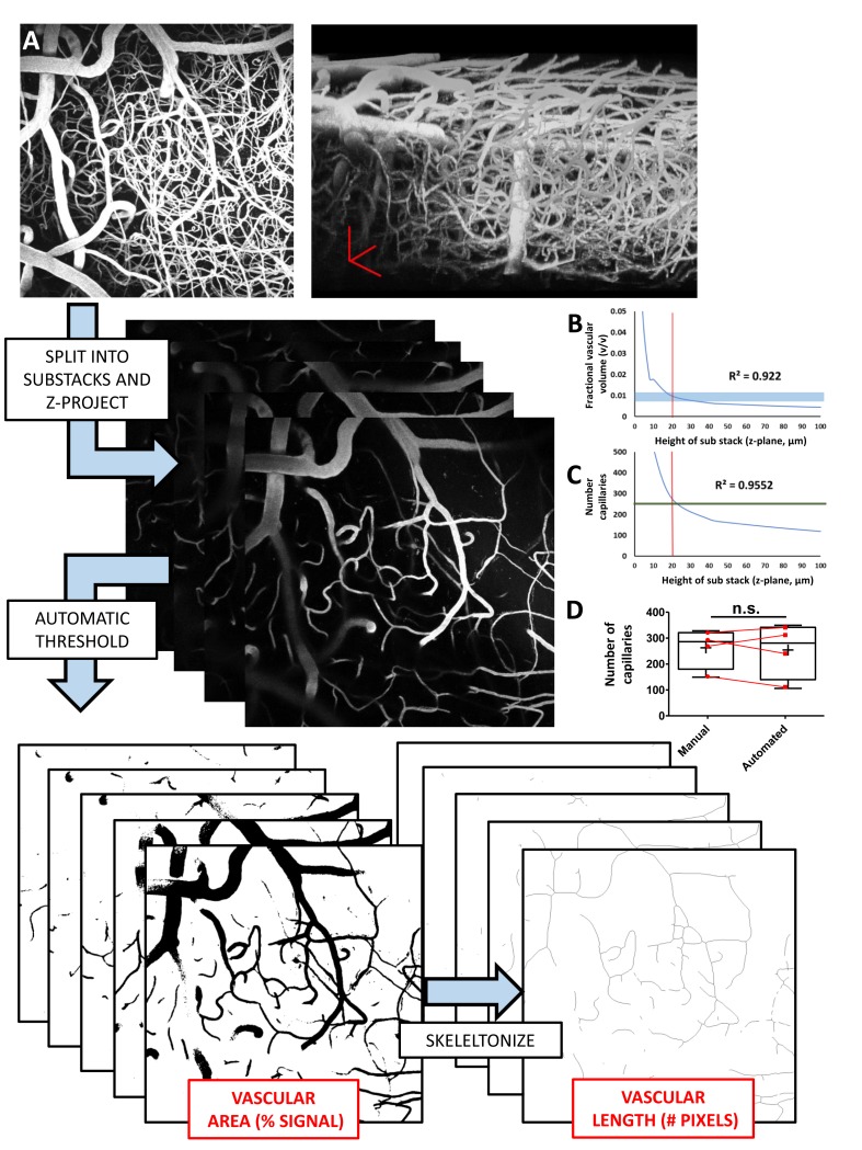 Figure 1—figure supplement 1.