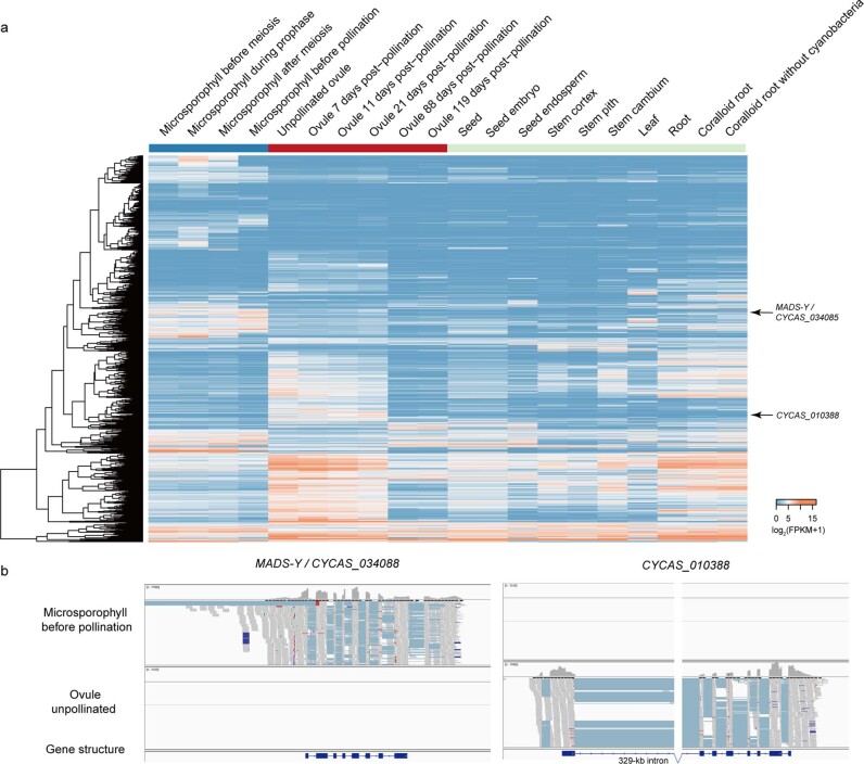 Extended Data Fig. 8