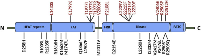 FIGURE 3