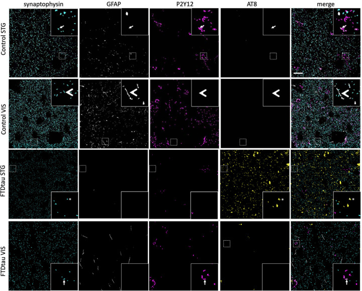 Figure 4: