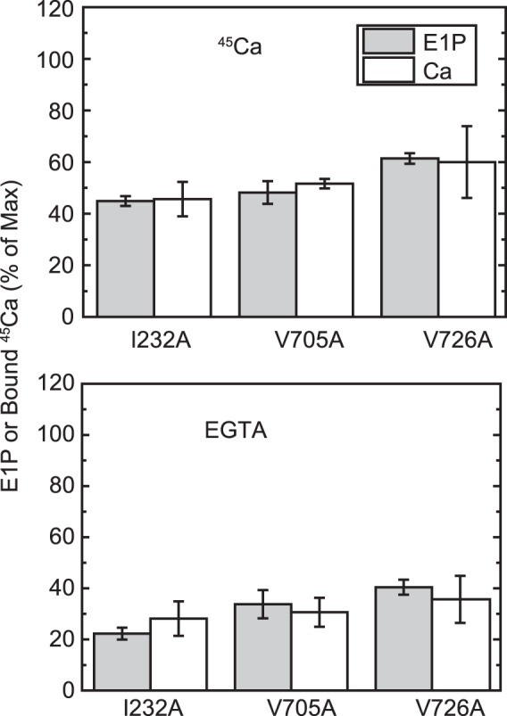 FIGURE 10.