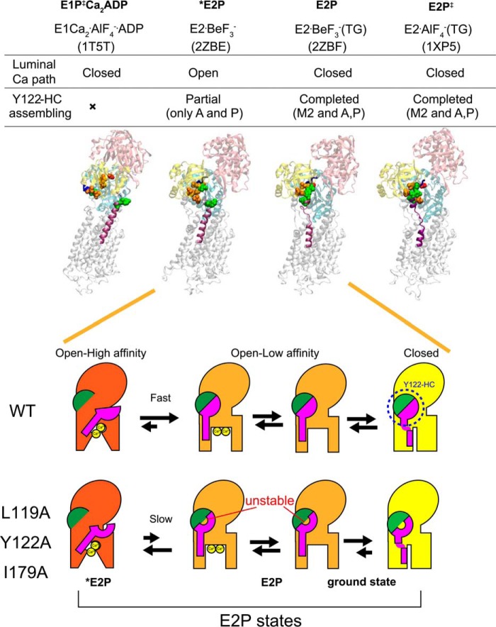 FIGURE 12.