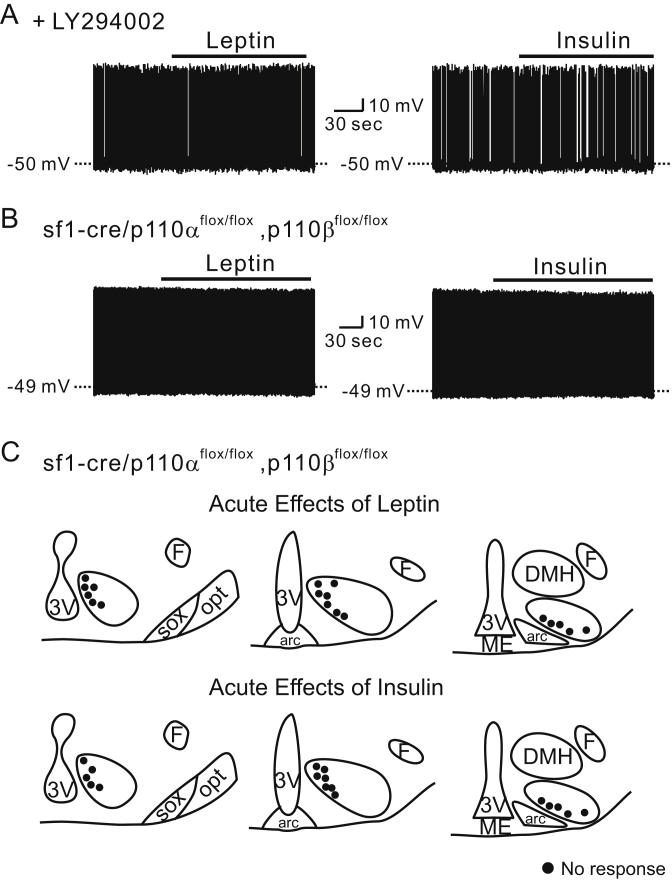 Figure 6