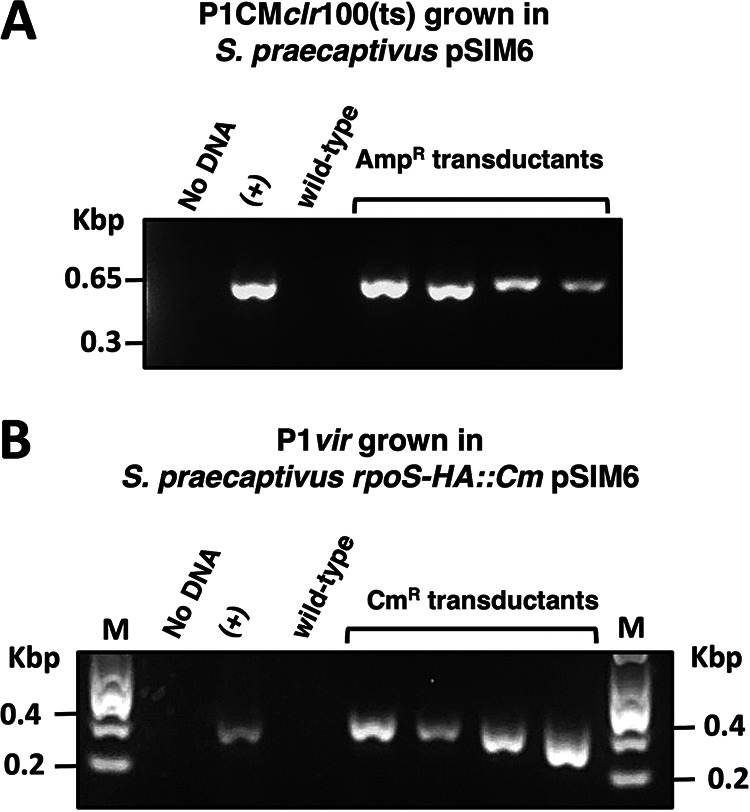 FIG 4