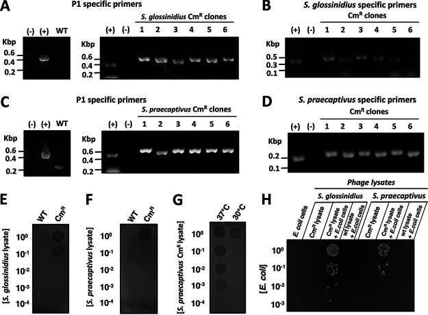 FIG 3