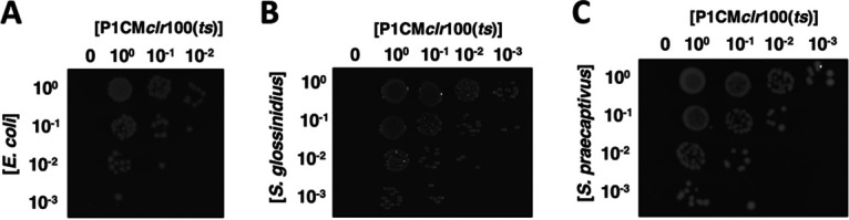 FIG 2