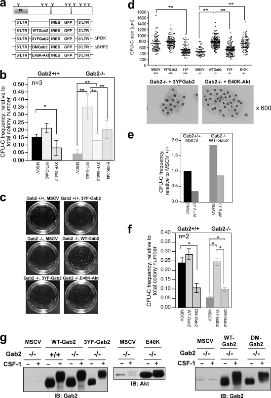 Fig. 9.