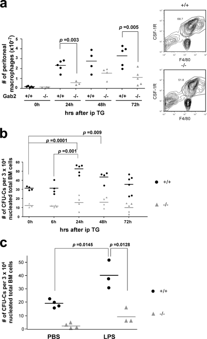 Fig. 12.