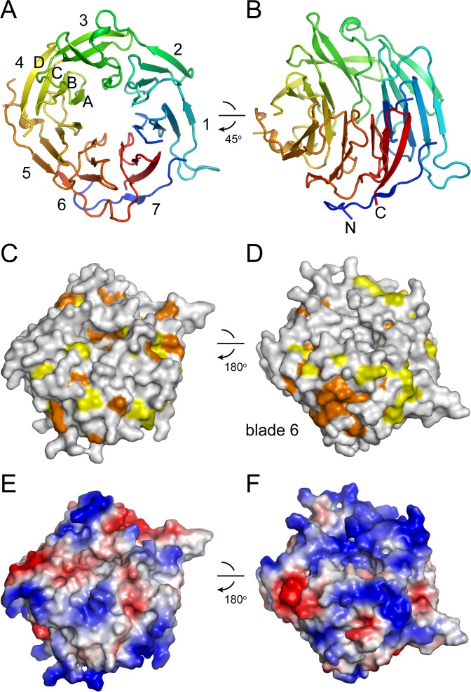 Figure 5.