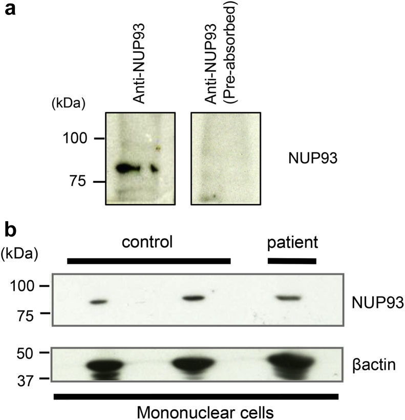 Figure 6